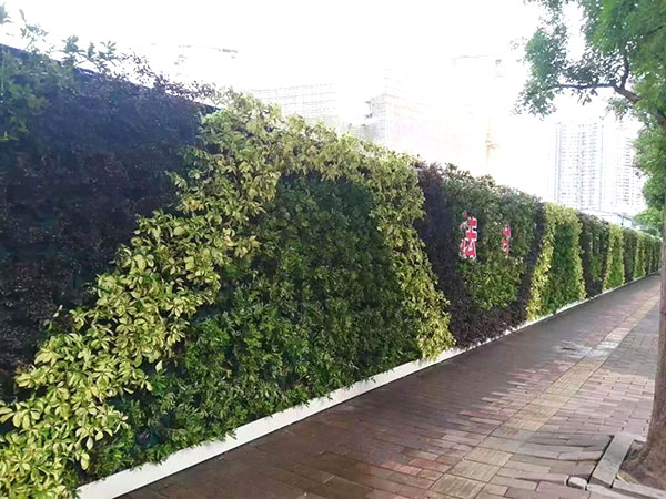 B1綠植圍蔽