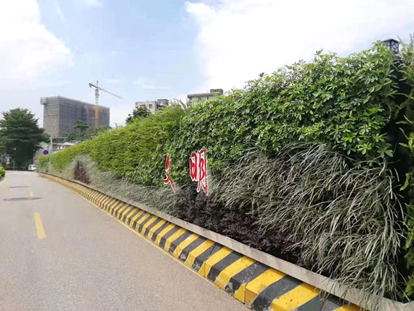 B1綠植圍蔽